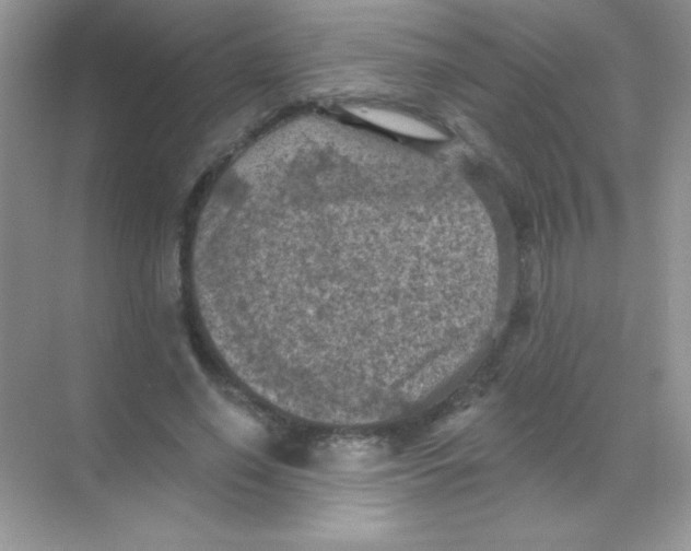 X0000068740638200605192346