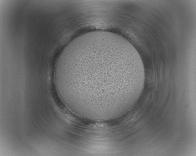 X0000068740639200605192346