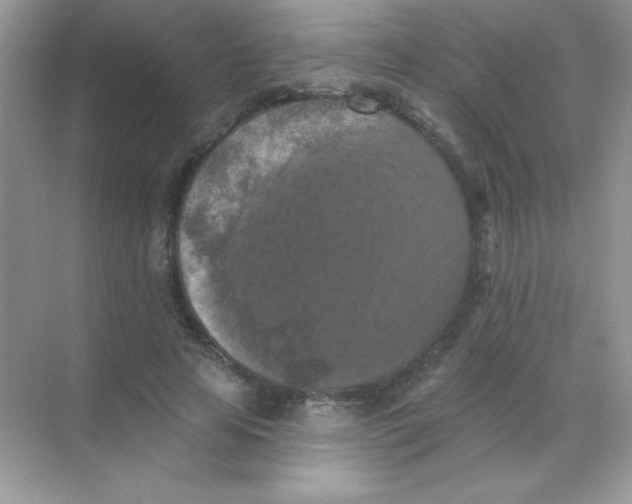 X0000068740641200605192346