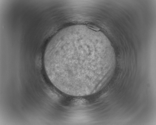 X0000068740642200605192346