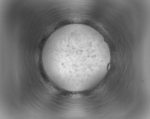 X0000068740645200605192346