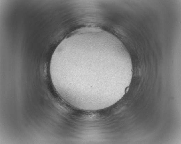 X0000068740646200605192346