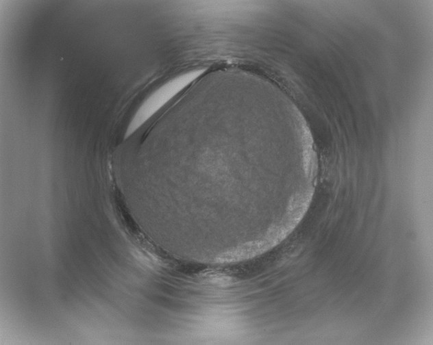 X0000068740648200605192346