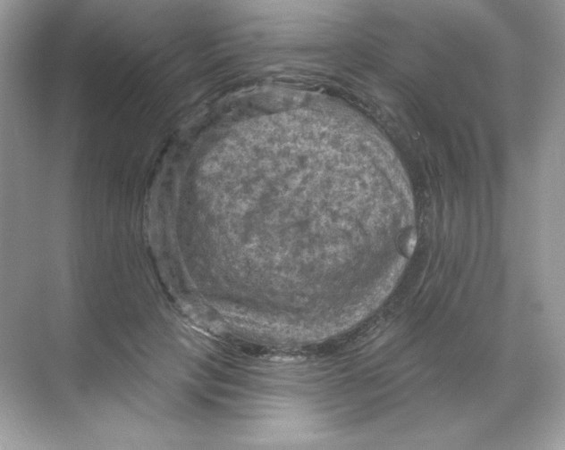 X0000068740649200605192346