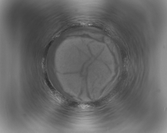 X0000068740650200605192346