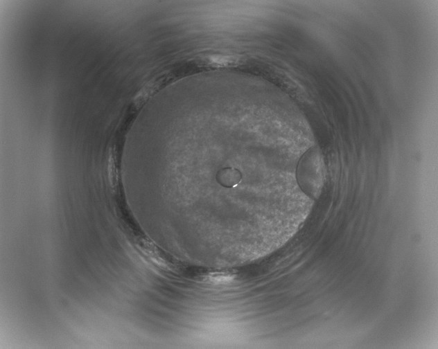 X0000068740651200605192346