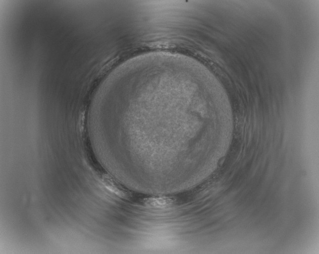 X0000068740652200605192346