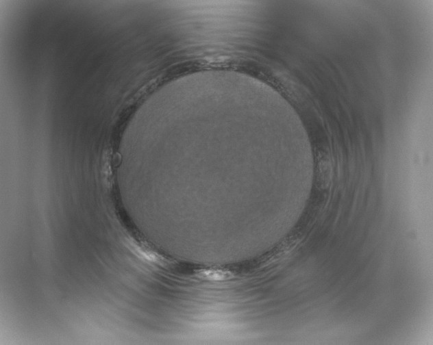 X0000068740654200605192346