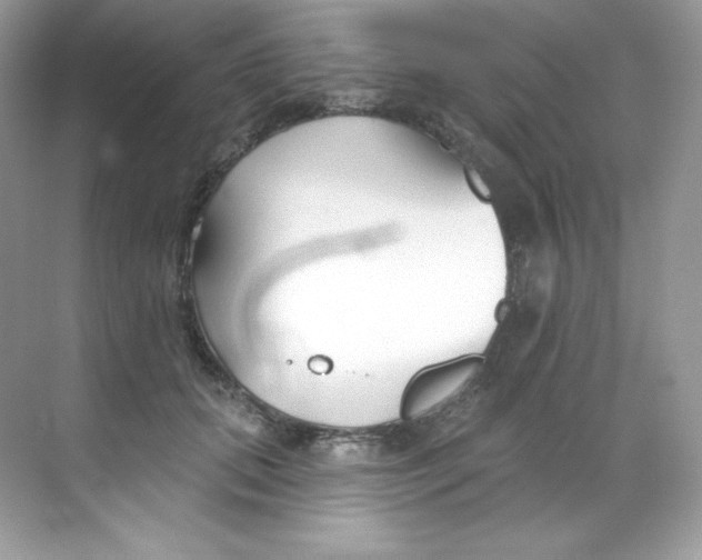 X0000068740655200605192346