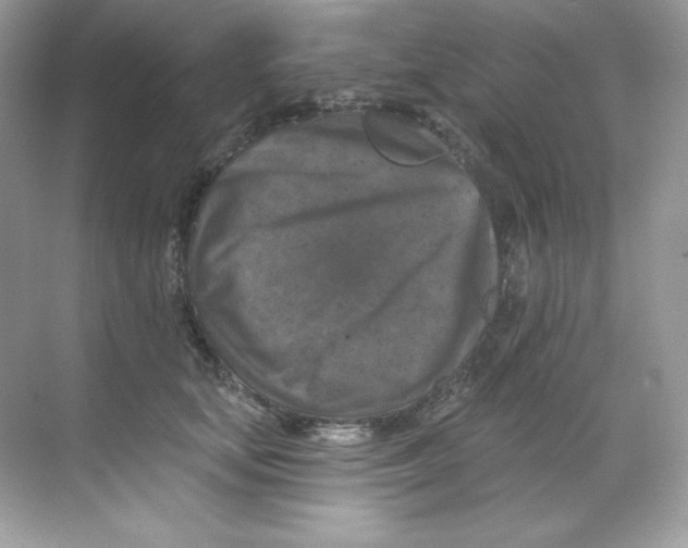 X0000068740659200605192346