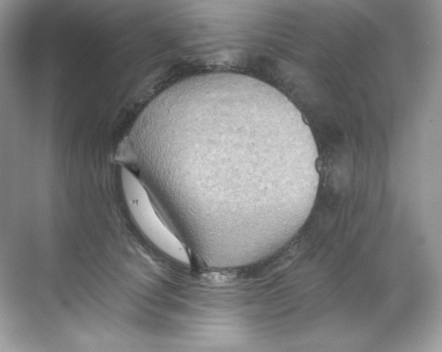 X0000068740660200605192346