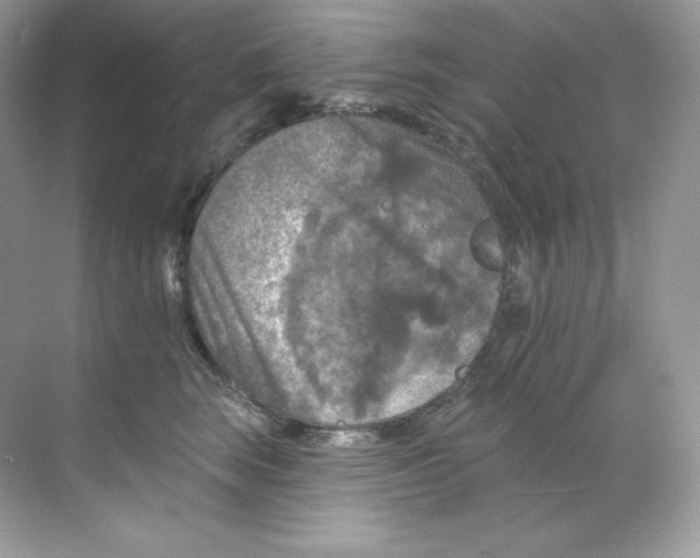 X0000068740663200605192346