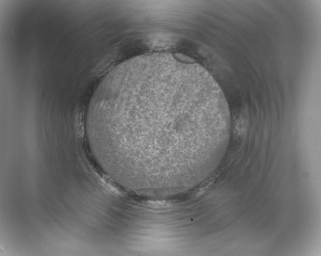 X0000068740666200605192346