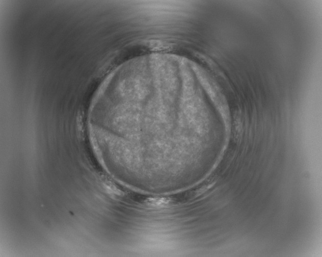 X0000068740667200605192346