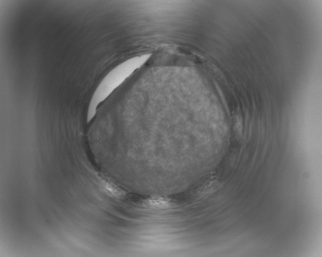 X0000068740668200605192346