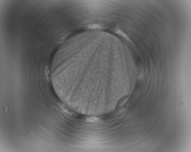 X0000068740669200605192346