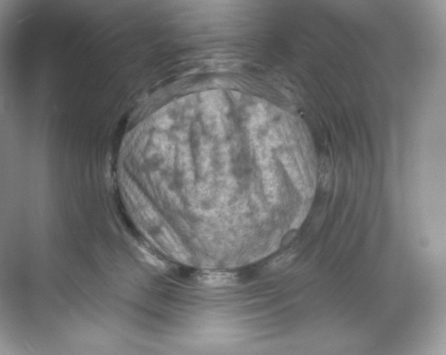 X0000068740670200605192346