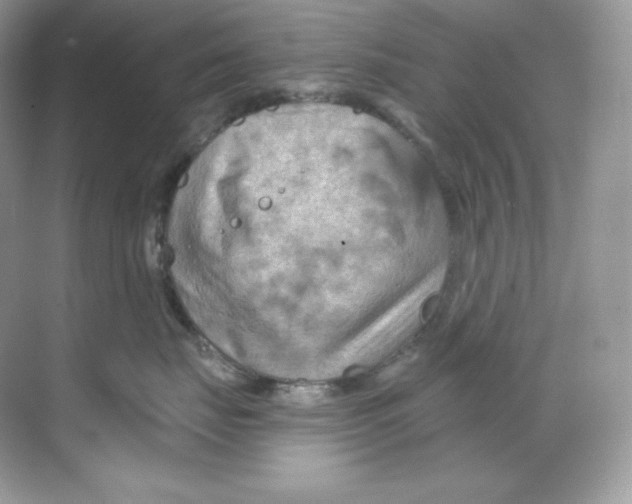 X0000068740671200605192346