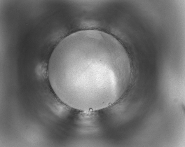 X0000068740672200605192346