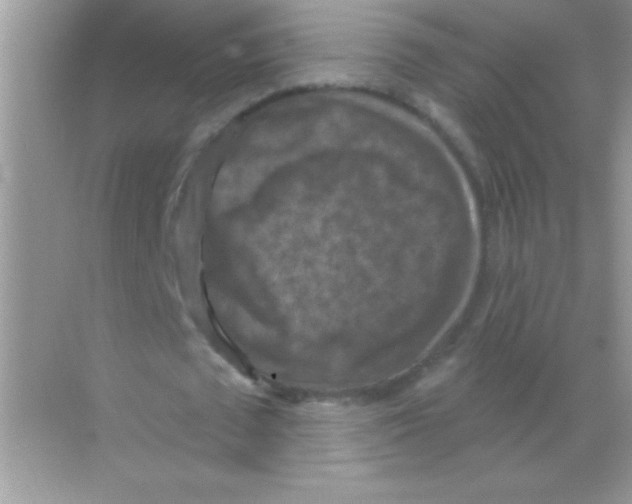 X0000068740673200605192346