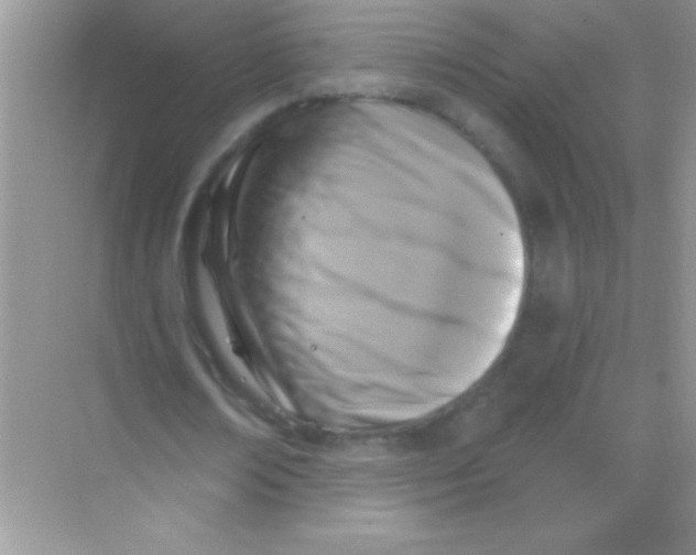 X0000068740674200605192346