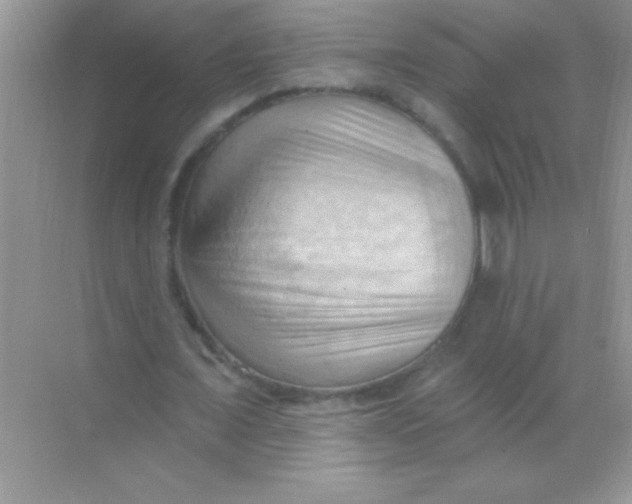 X0000068740675200605192346