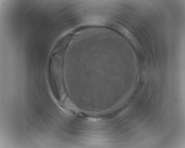 X0000068740677200605192346