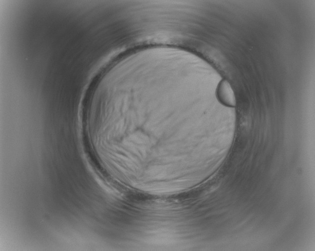 X0000068740678200605192346