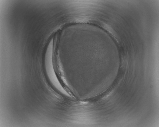 X0000068740681200605192345