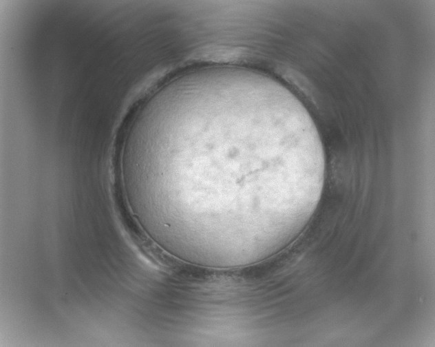 X0000068740682200605192345