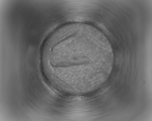 X0000068740683200605192345