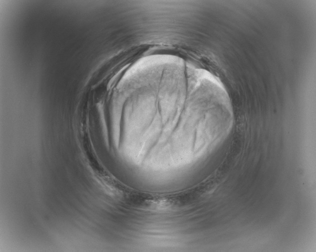 X0000068740688200605192345