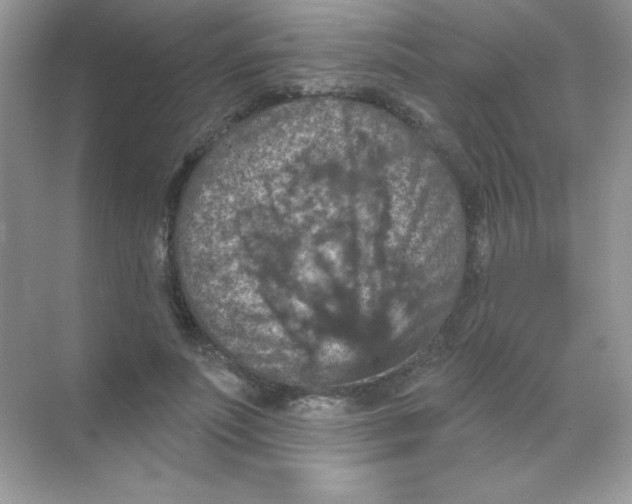 X0000068740691200605192345