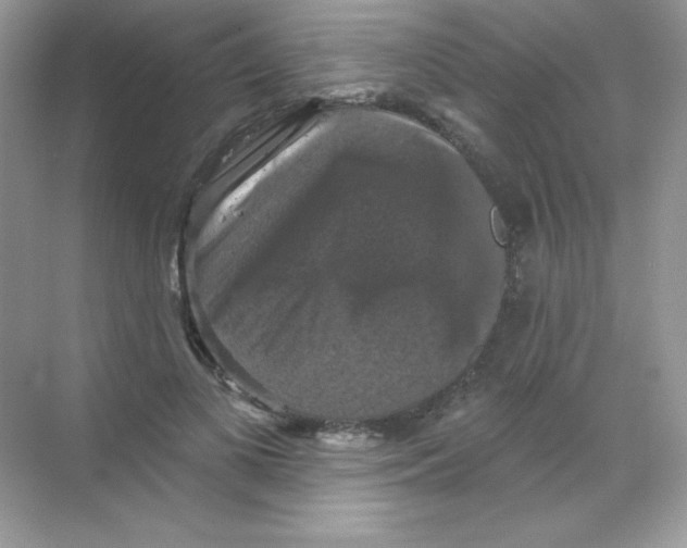 X0000068740693200605192345