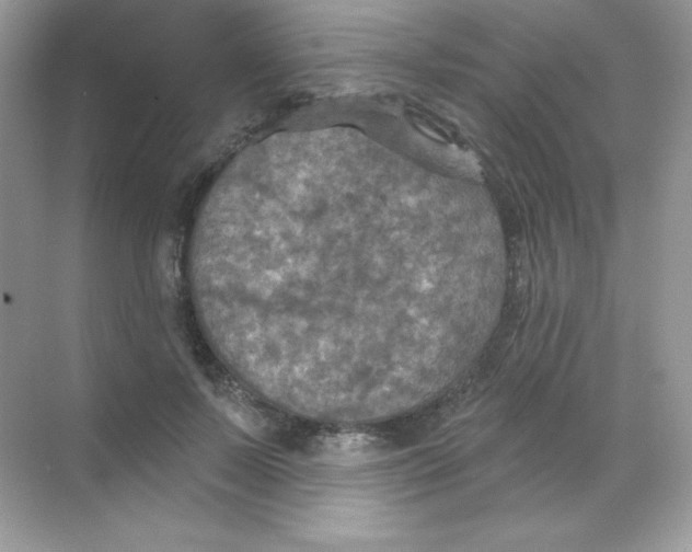 X0000068740695200605192345