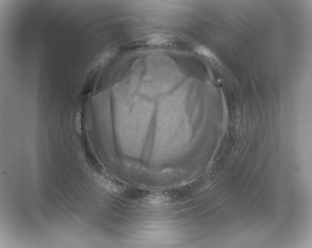 X0000068740696200605192345