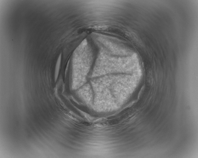 X0000068740697200605192345