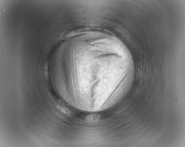 X0000068740700200605192345