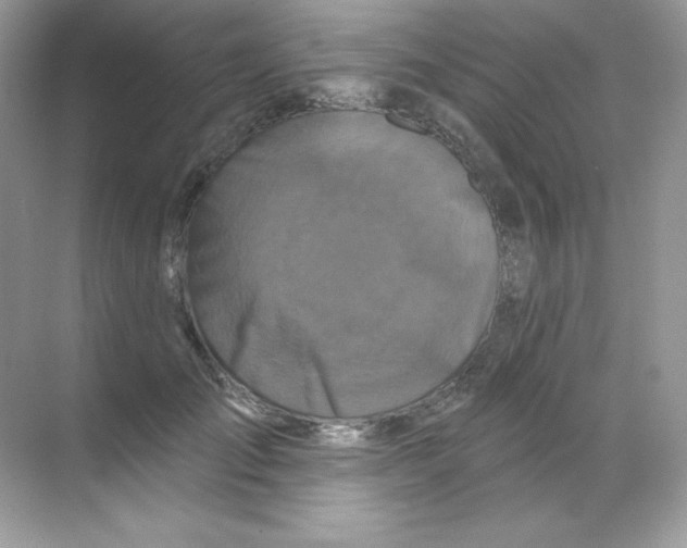 X0000068740701200605192345