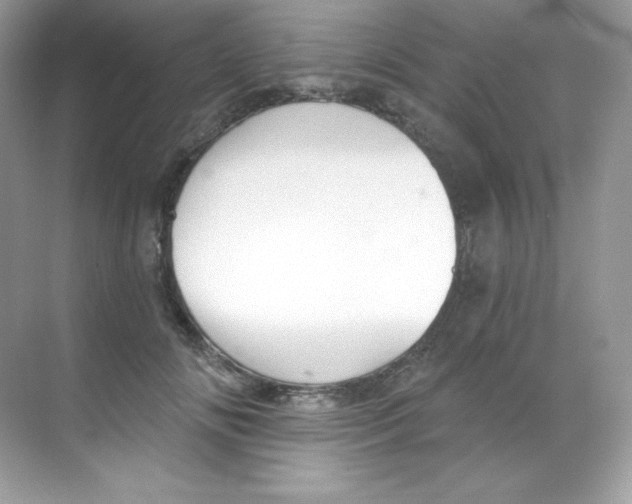 X0000068740702200605192345