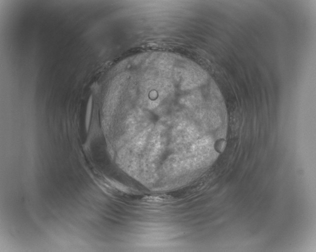 X0000068740703200605192345