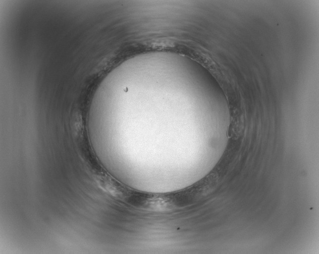 X0000068740704200605192345