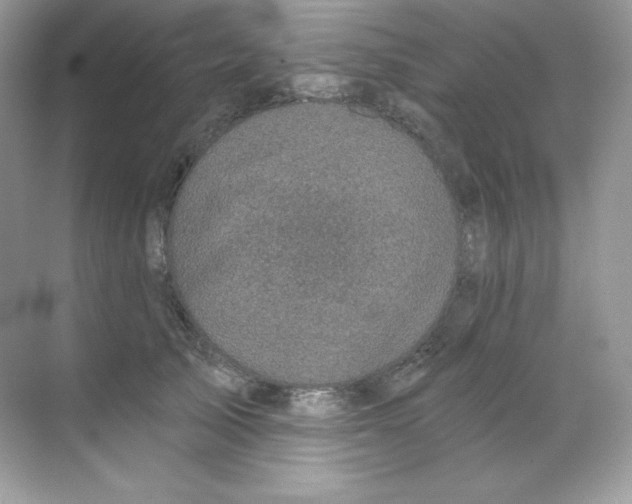 X0000068740705200605192345