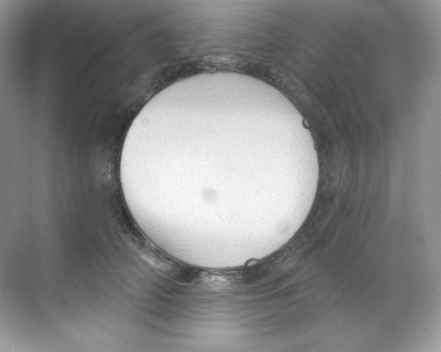 X0000068740706200605192345