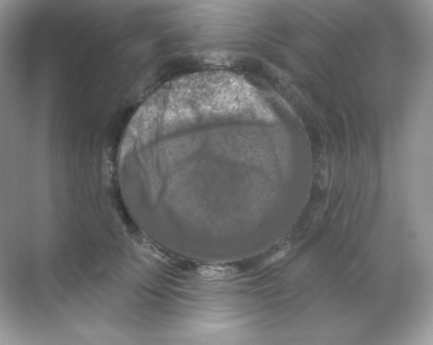 X0000068740707200605192345