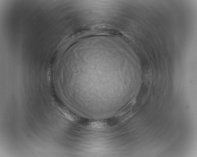 X0000068740708200605192345