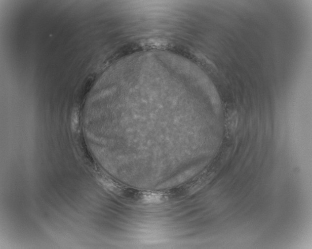 X0000068740709200605192345