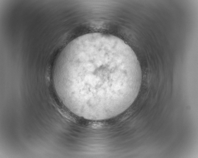 X0000068740710200605192345