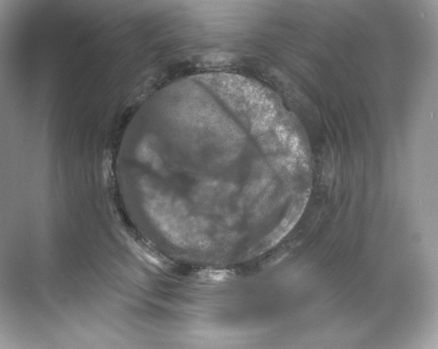 X0000068740711200605192345