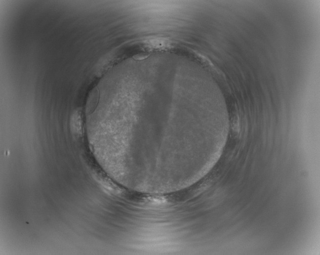 X0000068740715200605192345